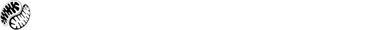 Steve Woodley Logo